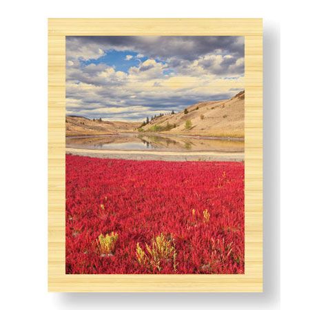 Donald Paulson Limited Edition Ready to Hang Giclee on Sustainable Bamboo: "Lac du Bois Grasslands Park II"