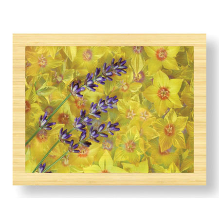 Donald Paulson Limited Edition Ready to Hang Giclee on Sustainable Bamboo: "Lavendar and Yellow Loosestrife Blossoms"