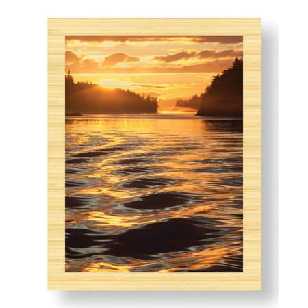 Donald Paulson Limited Edition Ready to Hang Giclee on Sustainable Bamboo: "Liquid Gold"