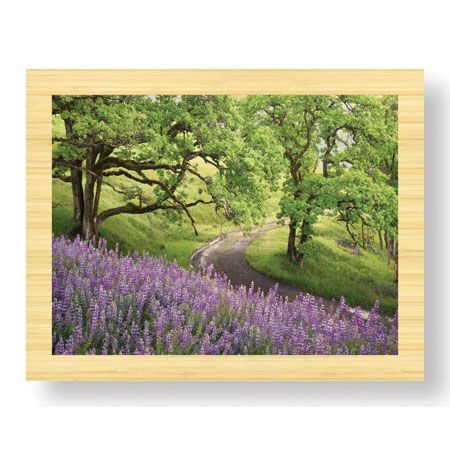 Donald Paulson Limited Edition Ready to Hang Giclee on Sustainable Bamboo: "Lupine and Oaks"