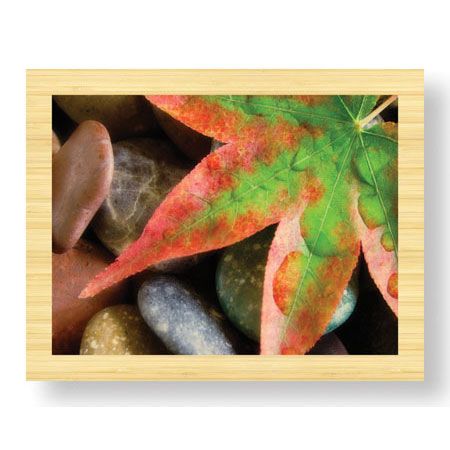 Donald Paulson Limited Edition Ready to Hang Giclee on Sustainable Bamboo: "Maple Leaf"