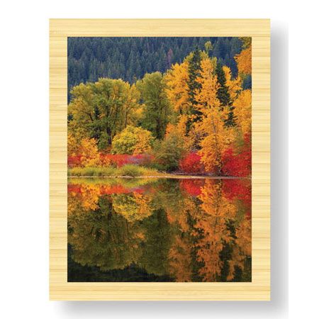 Donald Paulson Limited Edition Ready to Hang Giclee on Sustainable Bamboo: "Nason Creek III"