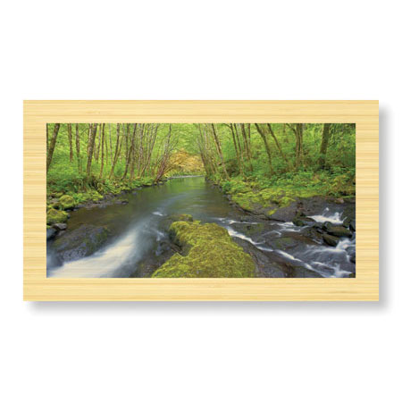 Donald Paulson Limited Edition Ready to Hang Giclee on Sustainable Bamboo: "Nestucca River Panorama"