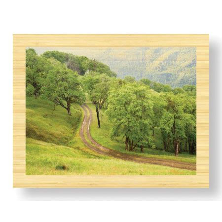 Donald Paulson Limited Edition Ready to Hang Giclee on Sustainable Bamboo: "Oak Trees and Road"