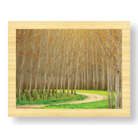 Donald Paulson Limited Edition Ready to Hang Giclee on Sustainable Bamboo: "Poplar Trees and Road"