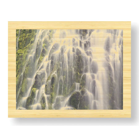 Donald Paulson Limited Edition Ready to Hang Giclee on Sustainable Bamboo: "Proxy Falls IV"