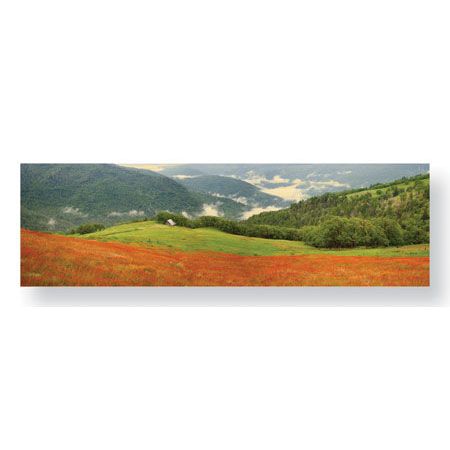 Donald Paulson Limited Edition Ready to Hang Giclee on Sustainable Bamboo: "Redwood Forest Panorama"