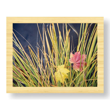 Donald Paulson Limited Edition Ready to Hang Giclee on Sustainable Bamboo: "Rogue River Leaves"