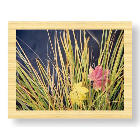 Donald Paulson Limited Edition Ready to Hang Giclee on Sustainable Bamboo: "Rogue River Leaves"