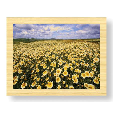 Donald Paulson Limited Edition Ready to Hang Giclee on Sustainable Bamboo: "Sea of Flowers II"