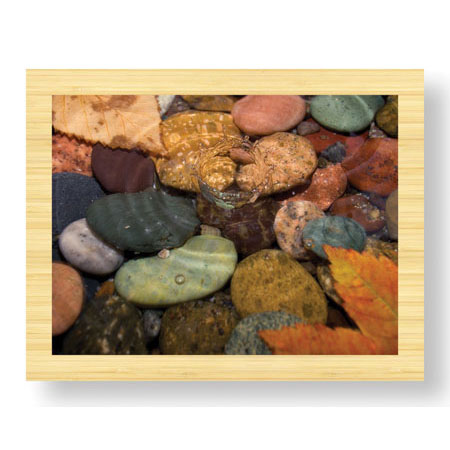 Donald Paulson Limited Edition Ready to Hang Giclee on Sustainable Bamboo: "Splash in a Stream"