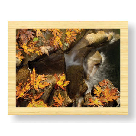 Donald Paulson Limited Edition Ready to Hang Giclee on Sustainable Bamboo: "Stream and Maple"