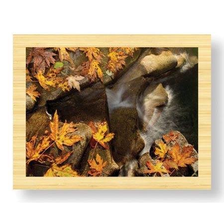 Donald Paulson Limited Edition Ready to Hang Giclee on Sustainable Bamboo: "Stream and Maple"