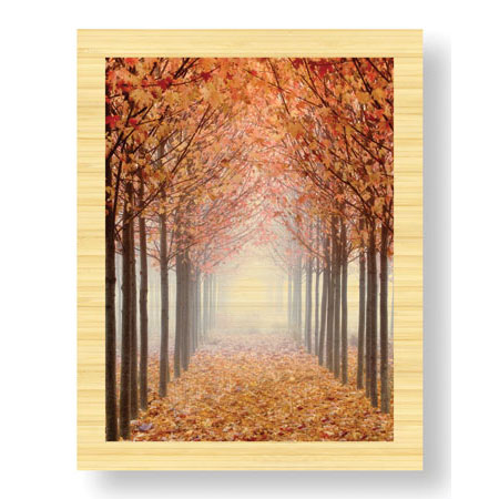 Donald Paulson Limited Edition Ready to Hang Giclee on Sustainable Bamboo: "Willamette Valley Maples I"