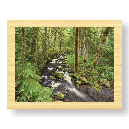 Donald Paulson Limited Edition Ready to Hang Giclee on Sustainable Bamboo: "Wine Creek II"