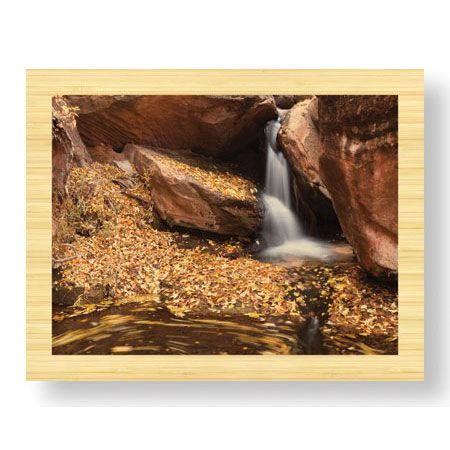 Donald Paulson Limited Edition Ready to Hang Giclee on Sustainable Bamboo: "Zion National Park I"