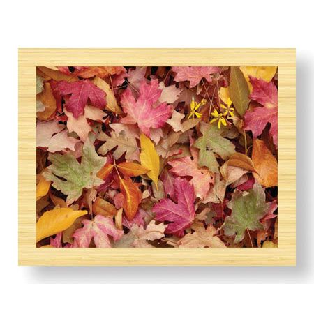 Donald Paulson Limited Edition Ready to Hang Giclee on Sustainable Bamboo: "Zion National Park III"