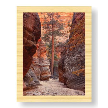 Donald Paulson Limited Edition Ready to Hang Giclee on Sustainable Bamboo: "Zion Park Canyon"