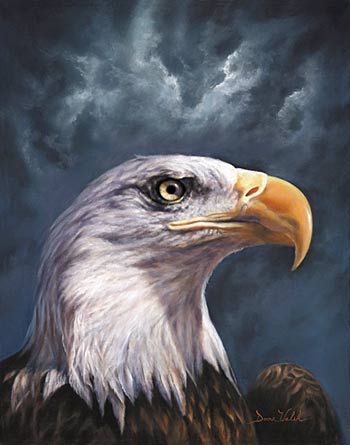 Donna Walsh Handsigned and Numbered Limited Edition Canvas Art Reproduction:"Eye Eagle"