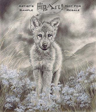Donna Walsh Handsigned and Numbered Limited Edition Canvas Art Reproduction: "Little Blue Eyes"