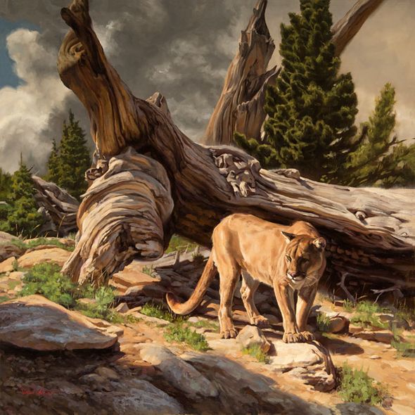 Dustin Van Wechel Hand Signed and Numbered Limited Edition Canvas Giclee:"Twisted Timber "