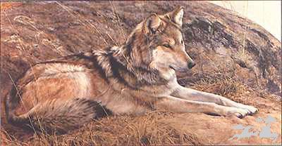 Edward Aldrich Handsigned & Numbered Limited Edition Print:"Silent Watch"