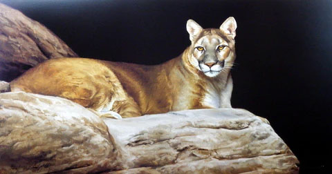 Edward Aldrich Print-Signed and Numbered:"Lions Lair"