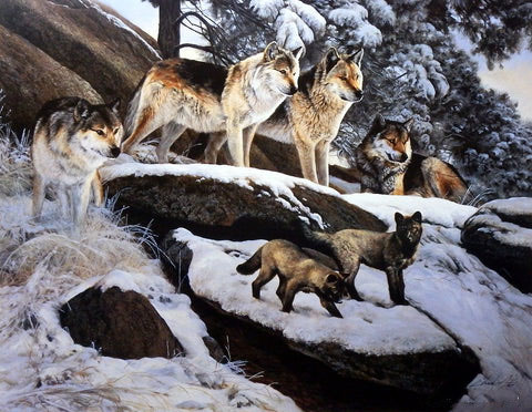 Edward Aldrich Print-Signed and Numbered:"Standing Watch"