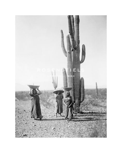 Edward Sheriff Curtis Hand Numbered Limited Edition Print on Paper :"Maricopa Women Gathering Fruit From Saguaro Cacti"