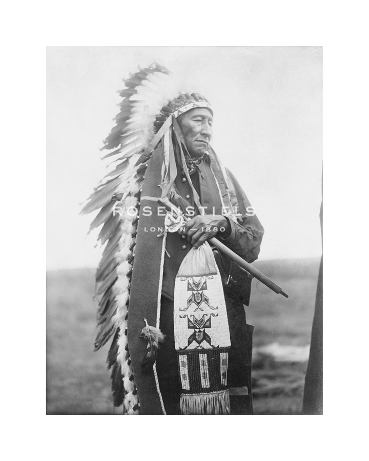 Edward Sheriff Curtis Hand Numbered Limited Edition Print on Paper :"Stinking Bear"