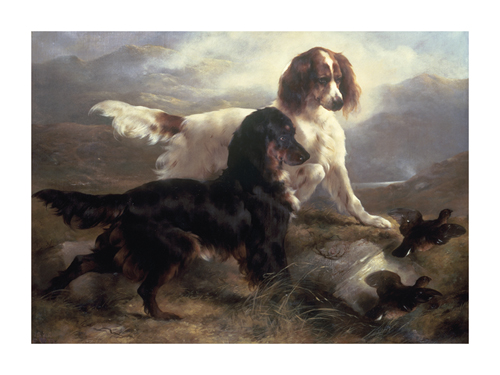 Edwin Douglas Hand Numbered Limited Edition Print on Paper :"Two Setters in a Highland Landscape"