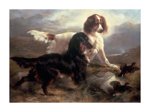 Edwin Douglas Hand Numbered Limited Edition Print on Paper :"Two Setters in a Highland Landscape"