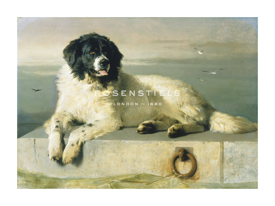 Edwin Landseer Hand Numbered Limited Edition Print on Paper :"A Distinguished Member Of The Humane Society"