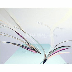 Gallerydirectart