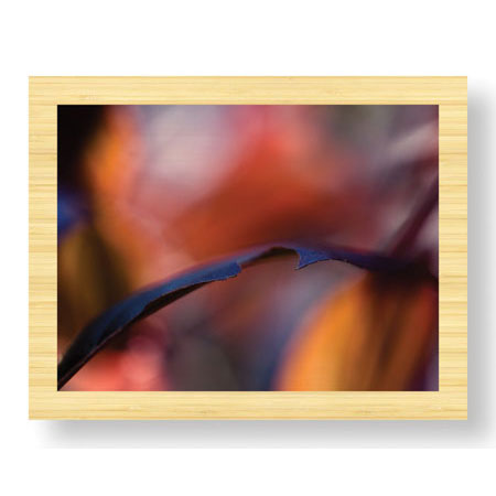 Eva Mueller Limited Edition Ready to Hang Giclee on Sustainable Bamboo: "Autumn No 8"