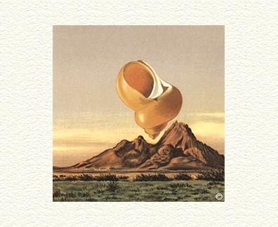 Fanny Brennan Limited Edition Hand-Crafted Lithograph: " Orange Shell "