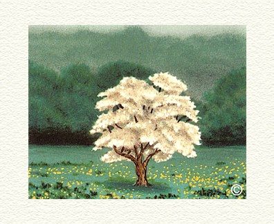 Fanny Brennan Limited Edition Hand-Crafted Lithograph: " Solo "