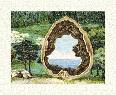 Fanny Brennan Limited Edition Hand-Crafted Lithograph: " Walnut "