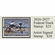 Federal Duck Stamp Limited Edition PRINT 2026-27 by James Hautman:"Bufflehead Ducks"