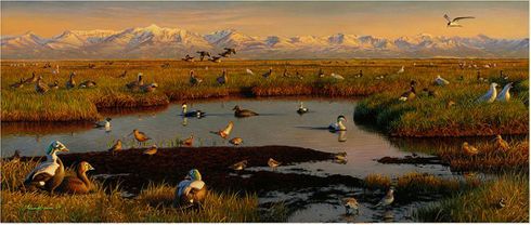 Adam Grimm Federal Duck Stamp 2025-26 COMPANION Edition Remarque Print:"Artic Summit"
