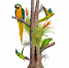 Flick Ford artist signed and numbered limited edition canvas giclee featuring vibrant parrots perched on a tree, surrounded by tropical bromeliads.