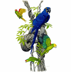 Artist-signed limited edition giclee print by Flick Ford featuring colorful tropical birds, including a blue macaw and green parrots, perched on a twisted tree branch surrounded by lush foliage.