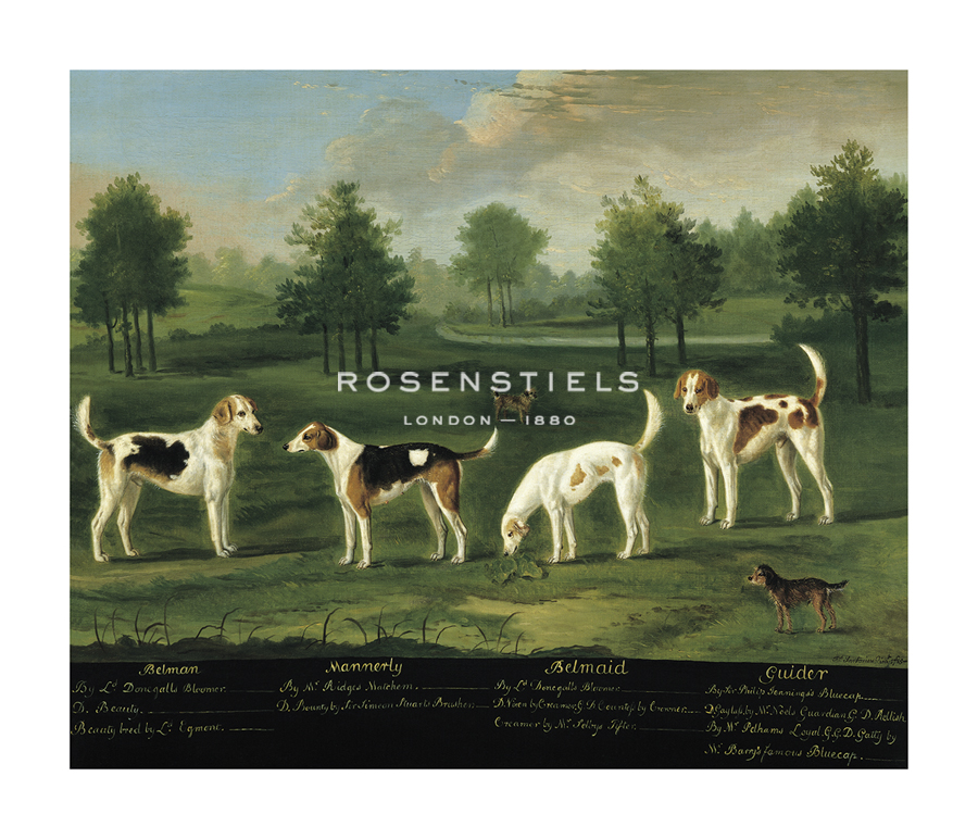 Francis Sartorius Hand Numbered Limited Edition Print on Paper :"Two Couples of Hounds in a Park"