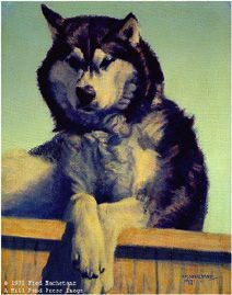 FRED MACHETANZ 18X14 Secondary Market Art: "VETERAN OF THE TRAIL"