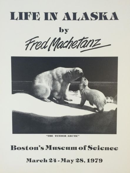 Fred Machetanz Fine Art Open Edition Paper Lithograph:"Tender Arctic - Poster"