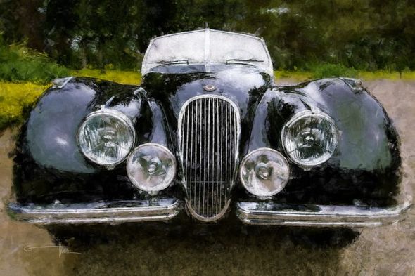 Garland Greg Flowers 28 x 42 Open Edition Signed Giclee on Canvas:"Classic Black Cat"