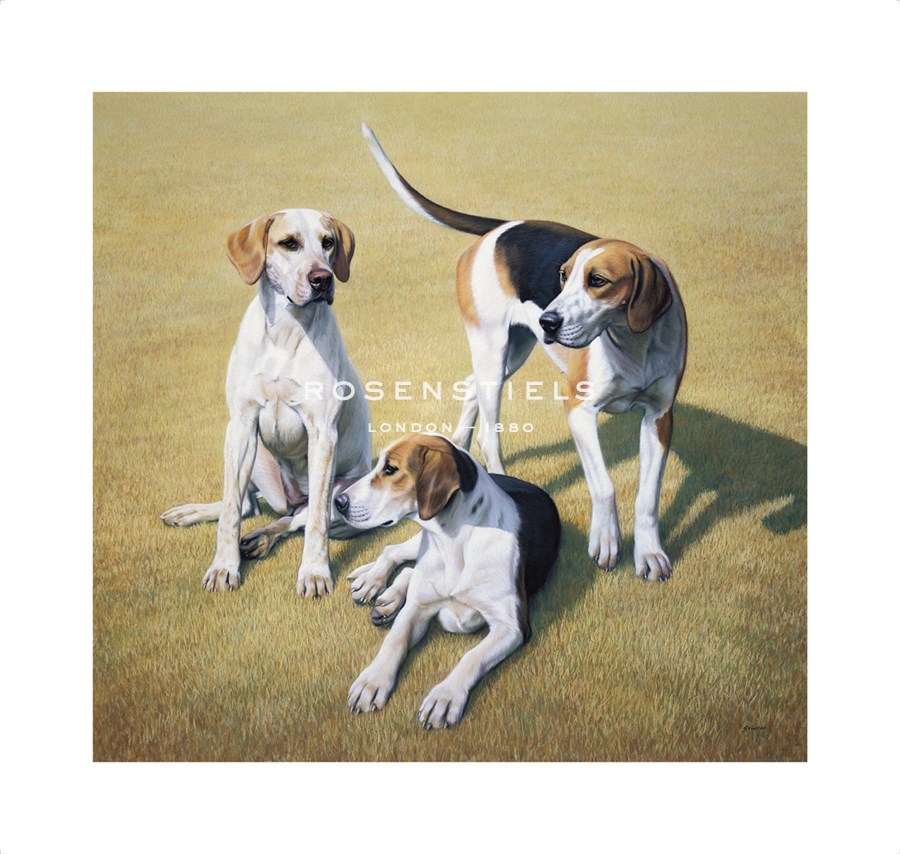 Gary Stinton Hand Numbered Limited Edition Print on Paper :"Cotswold Foxhounds"