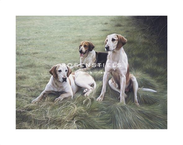 Gary Stinton Hand Numbered Limited Edition Print on Paper :"Duke Of Beaufort's Hounds"