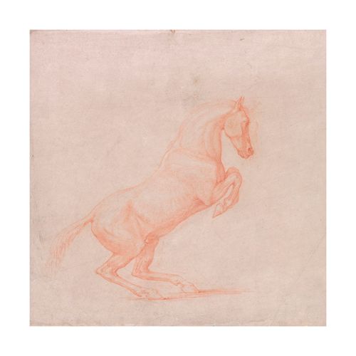 George Stubbs Hand Numbered Limited Edition Print on Paper :"A Prancing Horse, Facing right"
