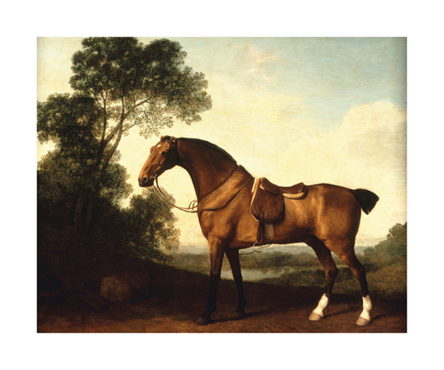 George Stubbs Hand Numbered Limited Edition Print on Paper :"A Saddled Bay Hunter"